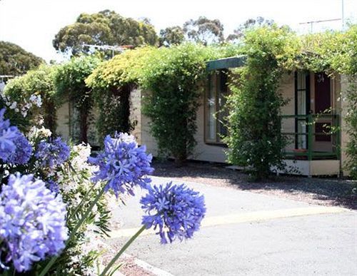 West City Motel Ardeer Esterno foto