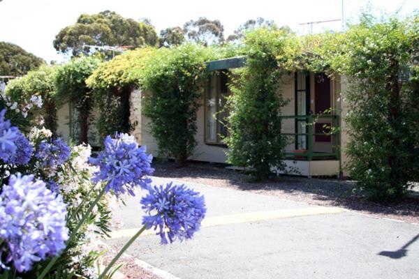 West City Motel Ardeer Esterno foto